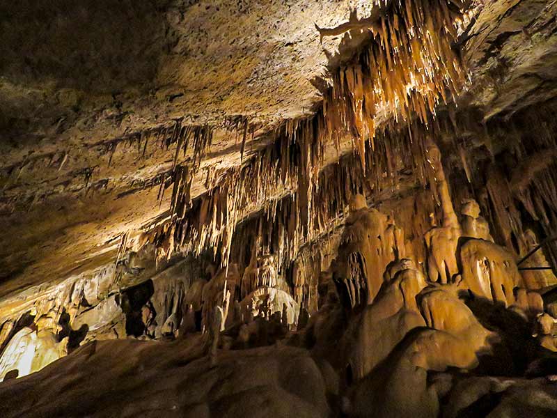 Cuevas de Mendukilo: Norte de Navarra.